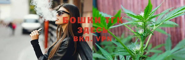 тгк Алзамай