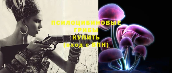 героин Алексин