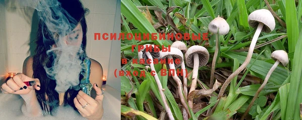 винт Алексеевка