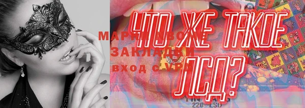 тгк Алзамай