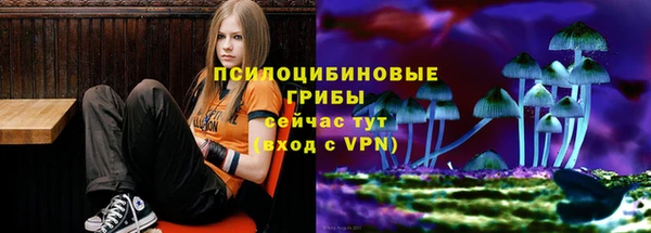 тгк Алзамай