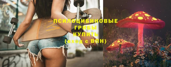 тгк Алзамай